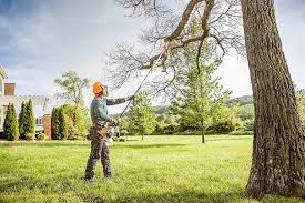 Professional Tree Removal and Landscaping Services in Wading River, NY